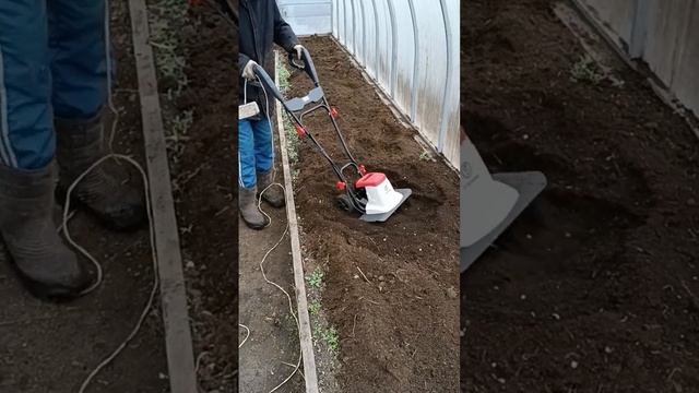 Перепахиваем теплицу под помидоры #shots смотреть онлайн