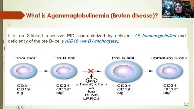 Agammaglobulinemia An Example of Antibody Related PIDs Prof Ghada Shousha, MD, PhD смотреть онлайн