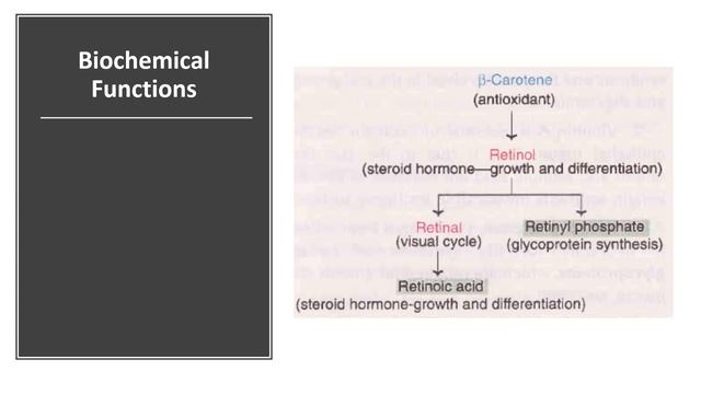 Vitamin A - Chemistry, Biochemical Function, RDA And Deficiency Disorders