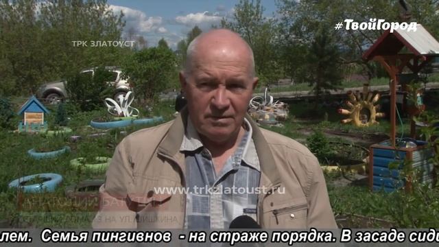 Во двор на ул. Шишкина д.13 пришли пингвины смотреть онлайн