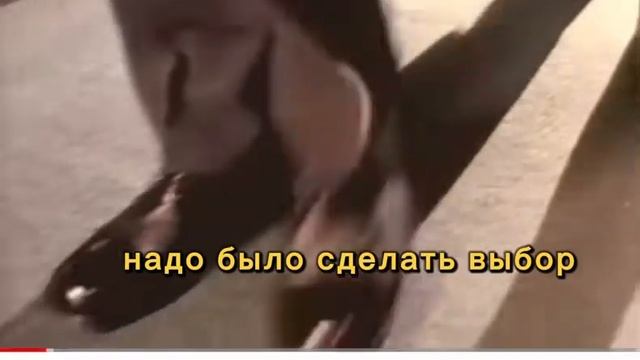 Цитаты из КФ ДМБ-001 смотреть онлайн