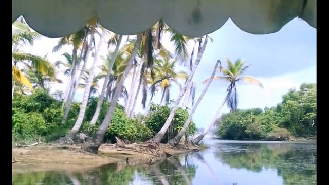Керала. Прогулка на лодке | Kerala backwaters. Boat trip | Afreen Hasan смотреть онлайн