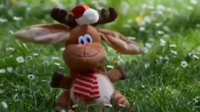 Odia Giha Kacha Video|| Banda Bia