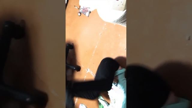Много смешного! 3 стихии, Земля, воздух, вода. СПАСАЕМ КИРУ! Вор в доме.🫢🫡 Принцесса Викуля V смотреть онлайн