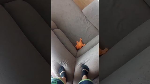 wrhv смотреть онлайн