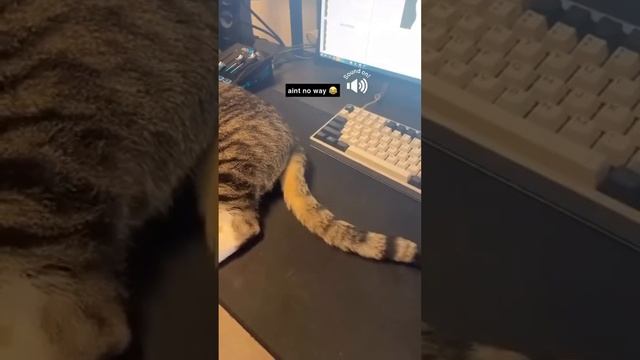 Смех до слёз: лучшие приколы №118 смотреть онлайн