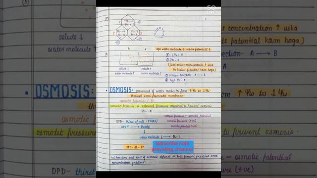 Class 11 Biology Transport In Plant🌿🌱🌵 Quick Revision Notes For Neet