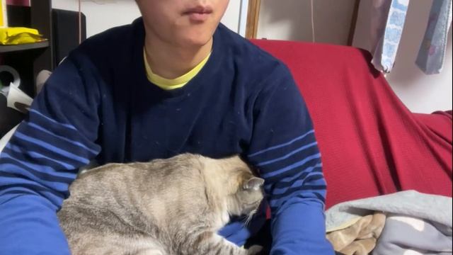 2024年12月15日 シールチームを見終わり何のために生きたらいいのか絶望(Lv346537333) 大仏 смотреть онлайн