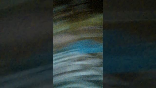 Черепаха карлик смотреть онлайн