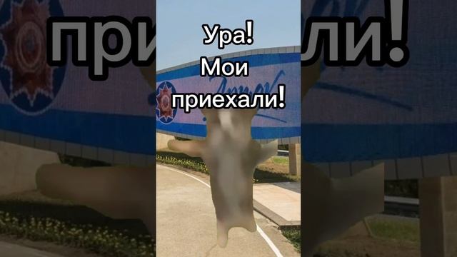 Лагерь. "Родительский день" #мем #мемныекоты #котики #вреееек #подишись #мой_день #жиза #ЛАГЕРЬ смотреть онлайн