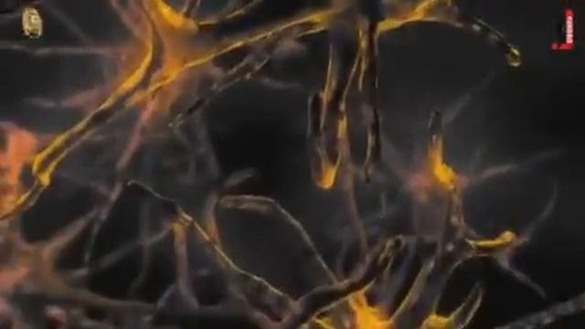 Замкнутый цикл пристрастия смотреть онлайн