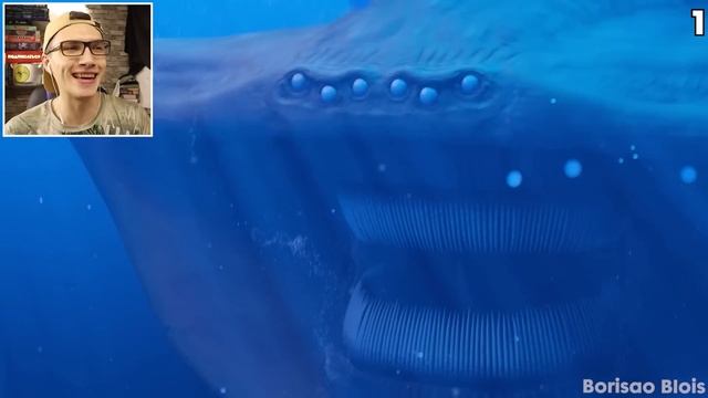 😱 Я Поймал ЭЛЬ ГРАН МАЙЯ vs БЛУП в Реальной Жизни ! (The Bloop vs El Gran Maja) смотреть онлайн