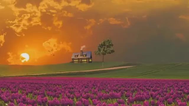 Успокаивающее чтение Корана Сура Аль-Бакара Омар Хишам смотреть онлайн