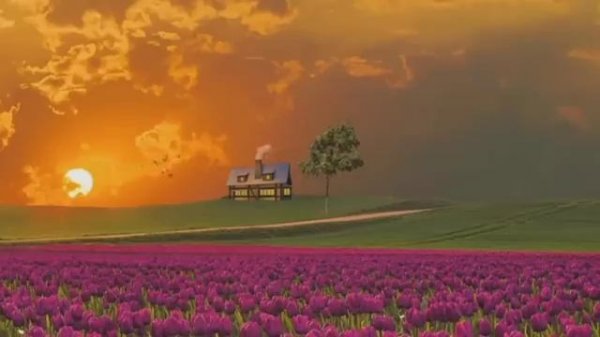 Успокаивающее чтение Корана Сура Аль-Бакара Омар Хишам