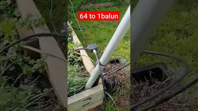 new #efhw #antenna #64to1 #hamradio #hamradioantennas смотреть онлайн