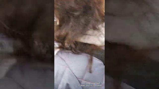 Обман потребителя в магазине "Магнит" смотреть онлайн