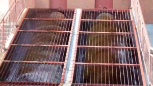 Архимедов винт в действии / Archimedean screw in action