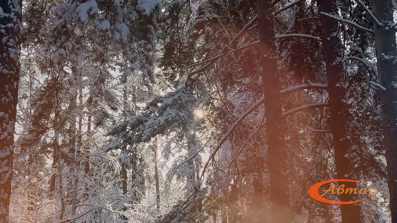 Телепередача «Лестница» №326. Эфир 12 декабря 2024 года ТРК «Заречный» смотреть онлайн