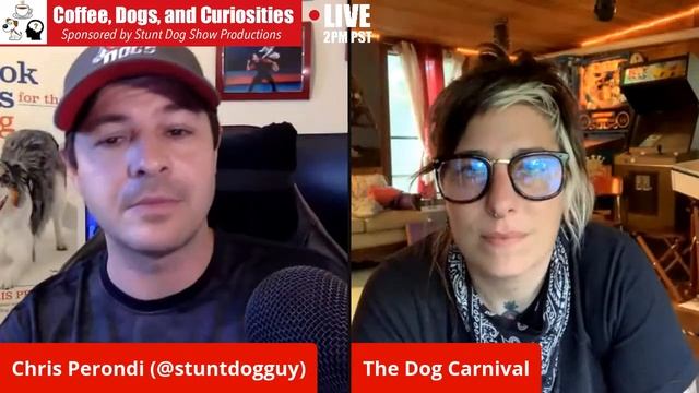 Episode 15: (May 26, 2020) - "Is your dog a jerk and how do you deal with them?” смотреть онлайн