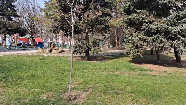 КРЫМ 10 лет в РОССИИ?Симферополь 2024 смотреть онлайн