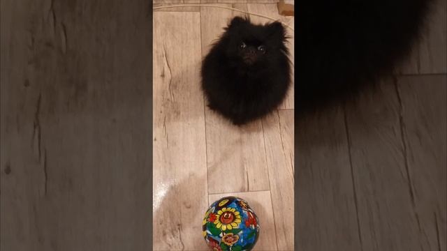 ГОЛКИПЕР ⚽ НА МЕСТЕ!)))