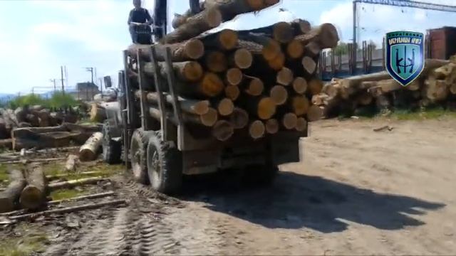 23 травня 2016р. На лісоскладі ДП Ст.Самбора прибуває немаркована деревина. смотреть онлайн
