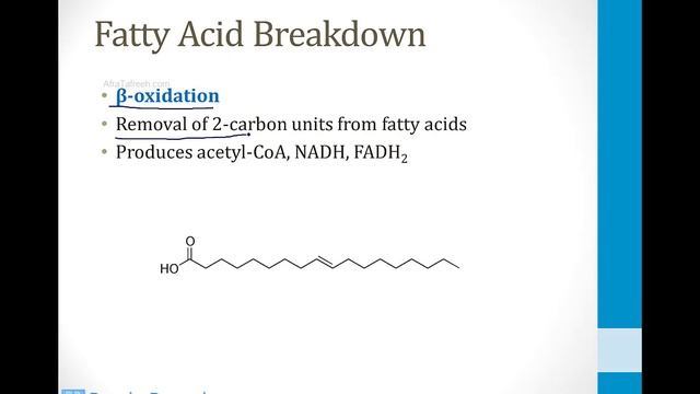 Biochemistry - 2. Metabolism - 10. Fatty Acids Atf