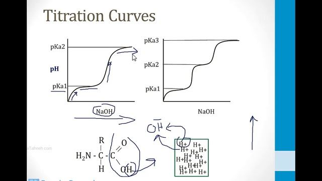 Biochemistry - 3. Amino Acids - 1. Amino Acids Atf