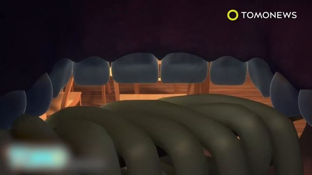 World's largest underwater restaurant to open by April 2019 - TomoNews смотреть онлайн