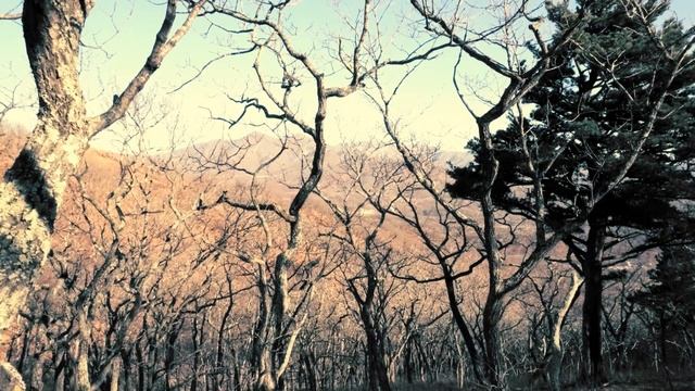 Грядущий царь и колдовство (ответы мои и рун) смотреть онлайн