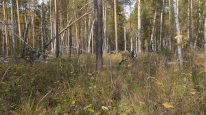 Вперед в прошлое - 61. Поиск магистрали УЖД. Ч. 5. Журавлевское болото.