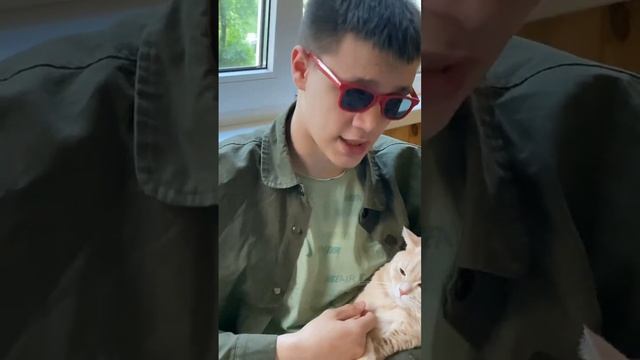 ✅СУХОЙ,ВЛАЖНЫЙ ИЛИ НАТУРАЛЬНЫЙ КОРМ ДЛЯ КОТА✅#сухойкормдлякошек смотреть онлайн