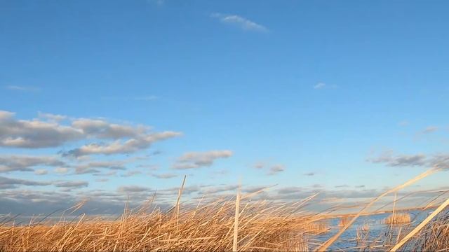 закрытие охоты на утку 28 и 29 октября 2019г смотреть онлайн