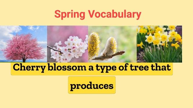 Spring Vocabulary,