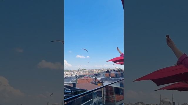 Стамбул 2024. Гранд Базар, Мечеть Сулеймание, Галатская башн