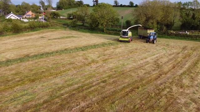 Denis Buckley Silage 2020 смотреть онлайн