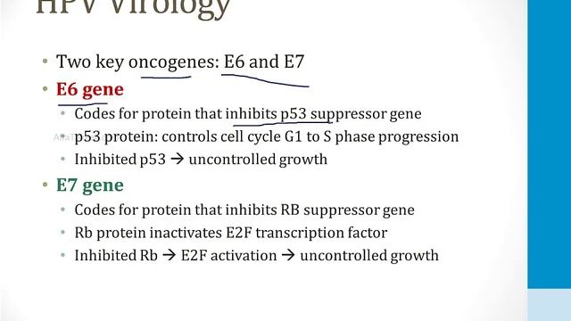 Reproductive - 3. Vagina, Cervix, Uterus - 2.Cervical Cancer Atf