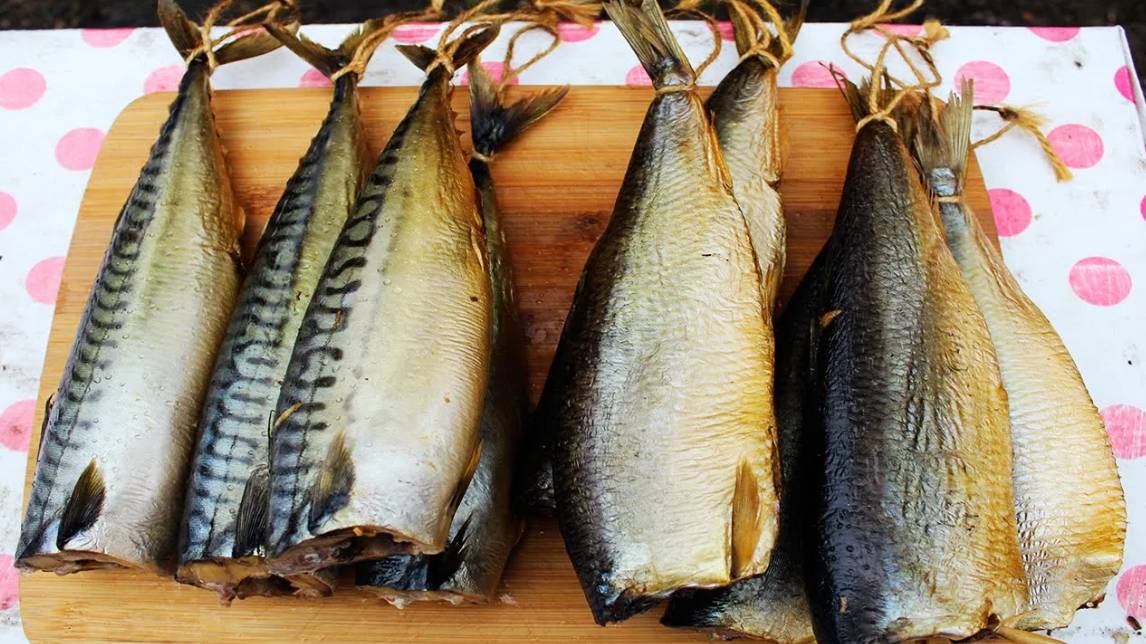 Холодное копчение скумбрии и холодное копчение селедки Пошаговое копчение рыбы. смотреть онлайн