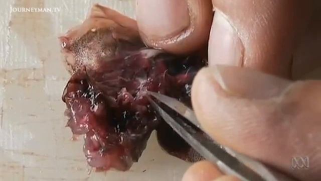 Stemming The Tide Of Rampant Overfishing смотреть онлайн