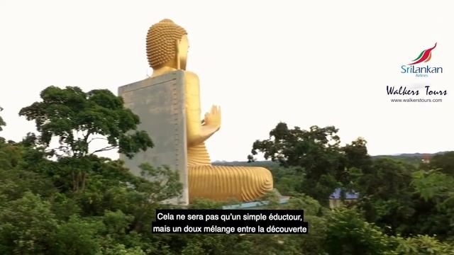 Шри-Ланка! смотреть онлайн