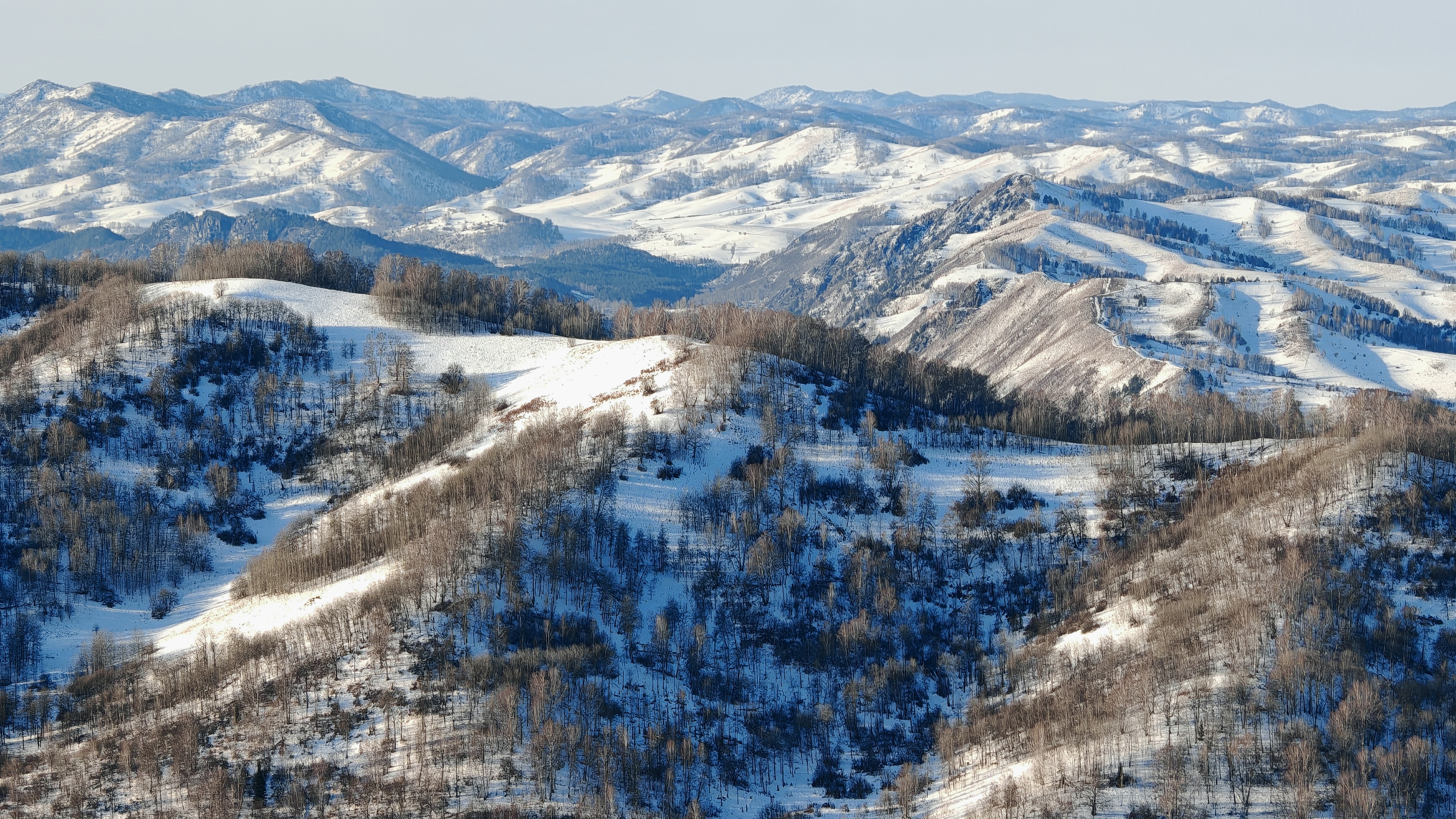 Подъем на гору Лысуху (Горный-Алтай) за 1.5 часа. смотреть онлайн