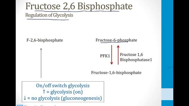 Biochemistry - 2. Metabolism - 2. Glycolysis atf смотреть онлайн