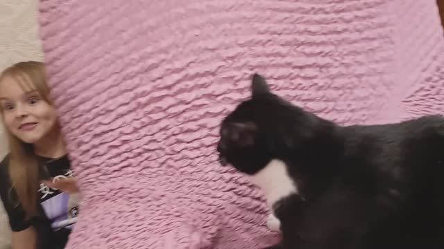 Прятки. Догонялки смотреть онлайн