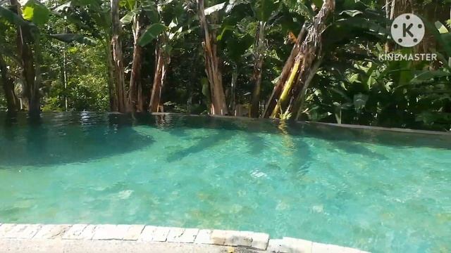 The Farm @ San Benito | May nagregalo sa amin ng #staycation! | #thefarm #batangas #sanctuary #spa смотреть онлайн