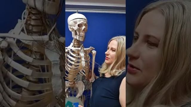 Нервная система и деньги с позиции прикладной кинезиологии смотреть онлайн