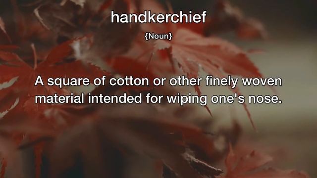Handkerchief Meaning | Definition of Handkerchief смотреть онлайн