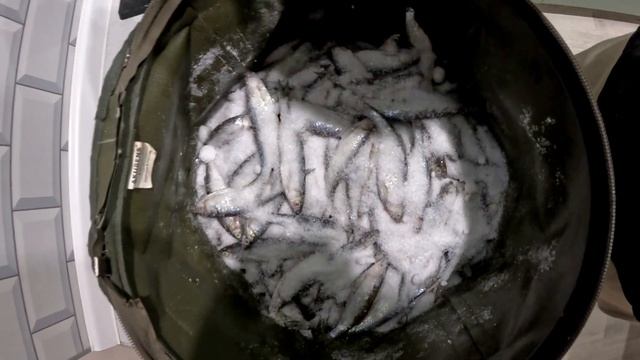 Рецепт вяленой уклейки. Простой но очень вкусный!!