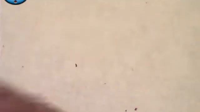 181126 123336 смотреть онлайн