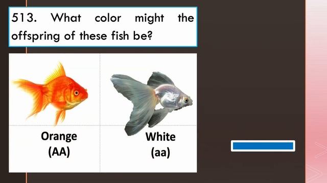 [Q501-520] REVIEW QUESTIONS FOR LICENSURE EXAMINATION FISHERIES PROFESSIONALS (WITH ANSWER KEY) смотреть онлайн