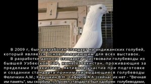 1. Первый фильм Андижанские (узкочубые) голуби